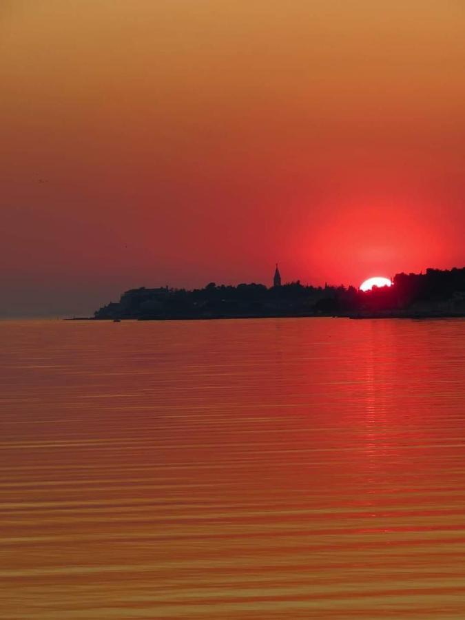 Apartments Roberta Novigrad Istria المظهر الخارجي الصورة