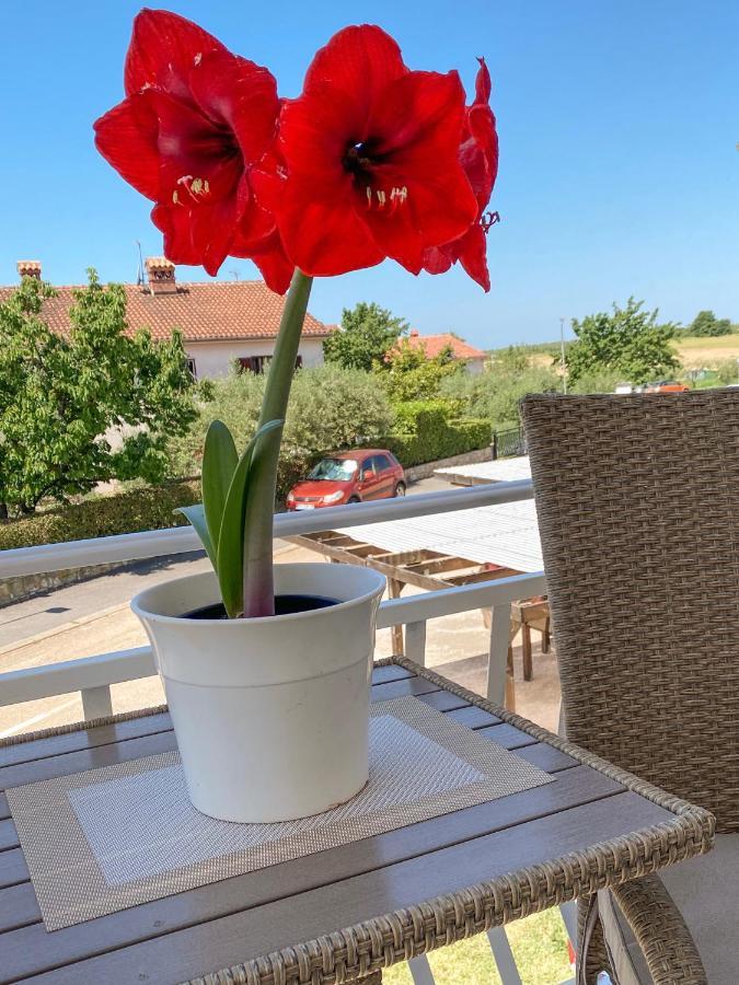 Apartments Roberta Novigrad Istria المظهر الخارجي الصورة