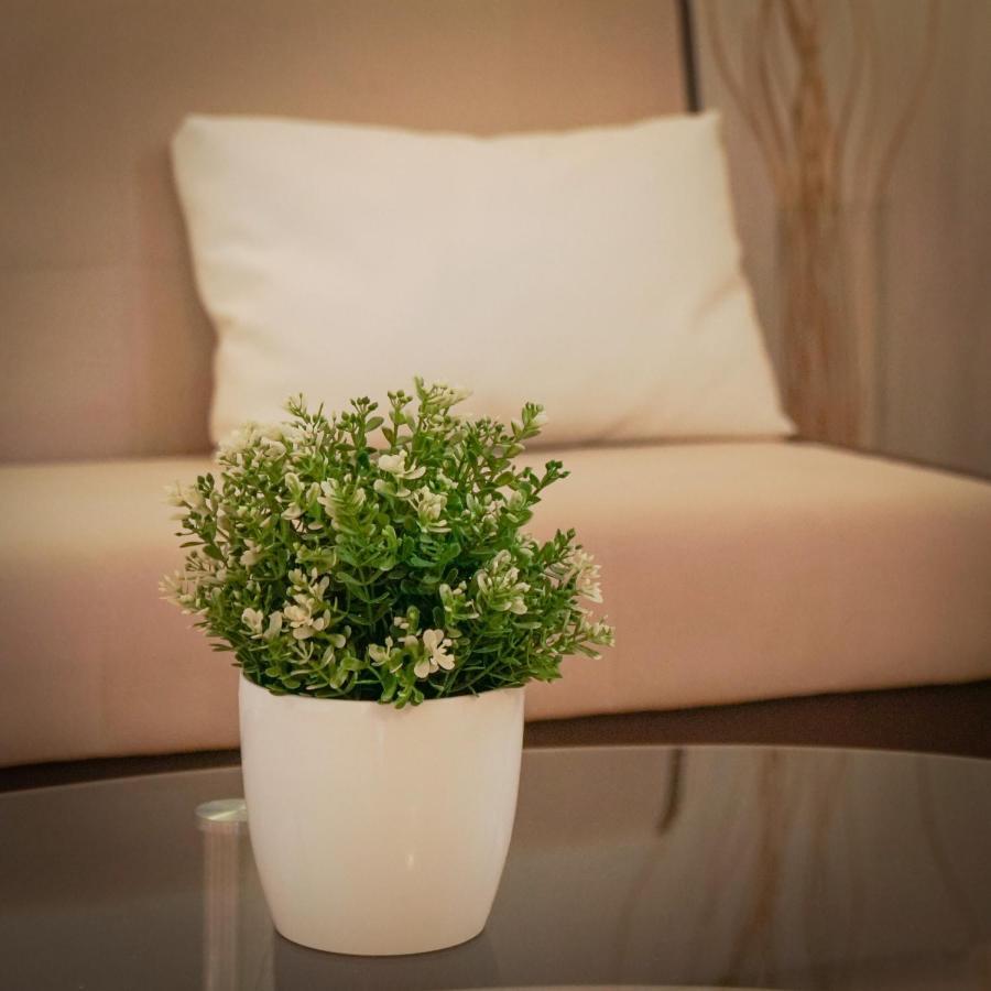 Apartments Roberta Novigrad Istria المظهر الخارجي الصورة