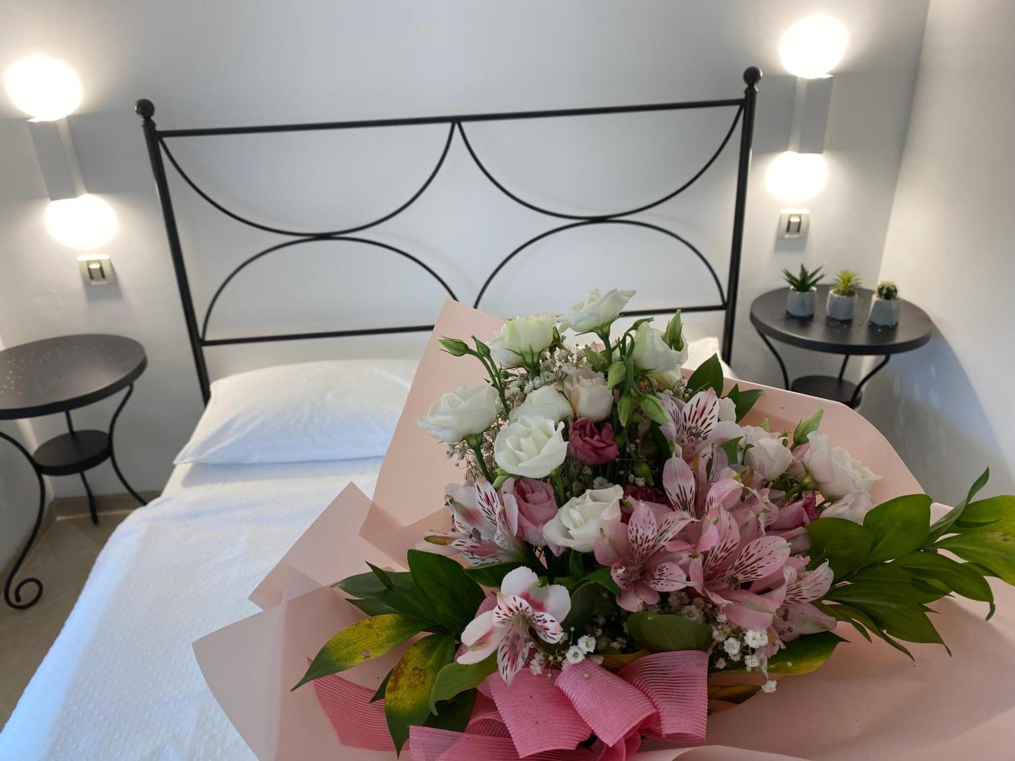 Apartments Roberta Novigrad Istria المظهر الخارجي الصورة