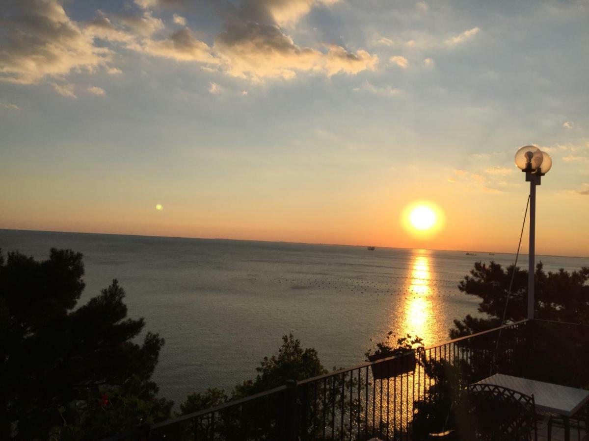 Apartments Roberta Novigrad Istria المظهر الخارجي الصورة