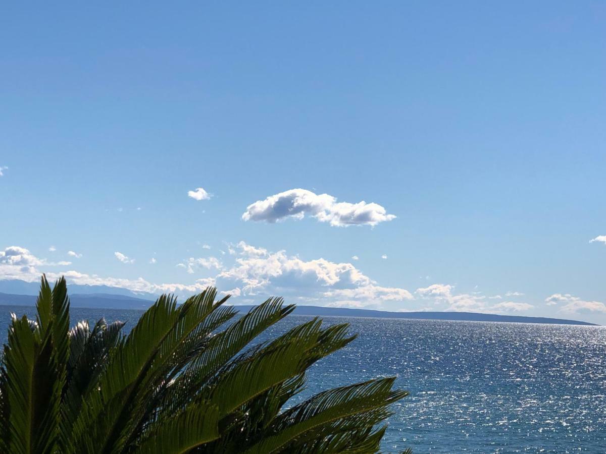 Apartments Roberta Novigrad Istria المظهر الخارجي الصورة